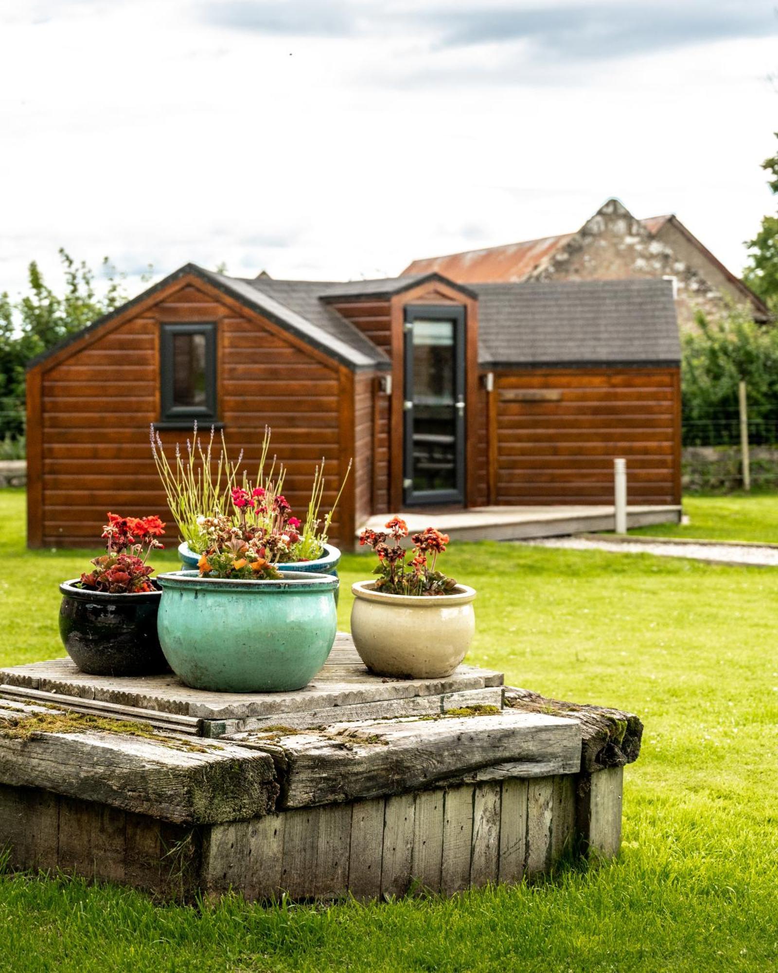 Delny Glamping And Farm Animals Hotell Invergordon Eksteriør bilde
